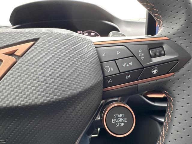 Cupra / Terramar / Schwarz / / / 4Drive PANO+NAVI+SENNHEISER+MATRIX+MEMORY+HUD+KAM+ACC+EL.HECKKL.
