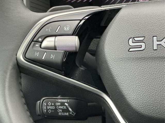 Skoda / Karoq / Schwarz / / / AHK+KAMERA+EL. HECKKL.+SHZ+ACC+KESSY+18''ALU