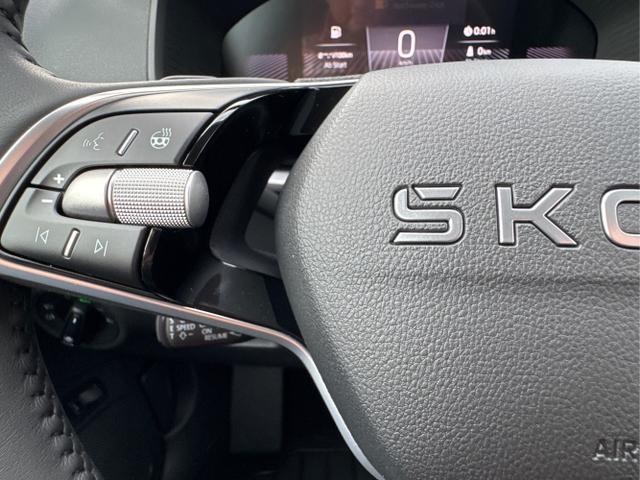 Skoda / Karoq / Silber / / / AHK+KAMERA+EL. HECKKL.+SHZ+ACC+KESSY+18''ALU