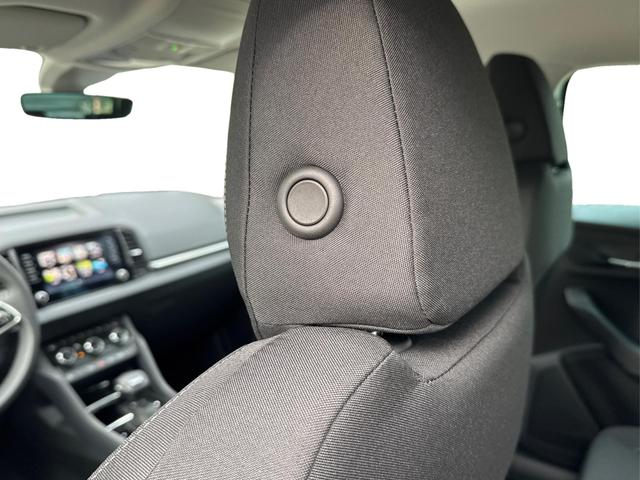 Skoda / Karoq / Silber / / / AHK+KAMERA+EL. HECKKL.+SHZ+ACC+KESSY+18''ALU