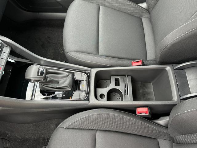 Skoda / Karoq / Grau / / / AHK+KAMERA+EL. HECKKL.+SHZ+ACC+KESSY+18''ALU