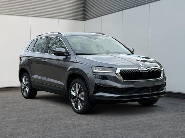 Skoda / Karoq / Grau / / / AHK+KAMERA+EL. HECKKL.+SHZ+ACC+KESSY+18''ALU