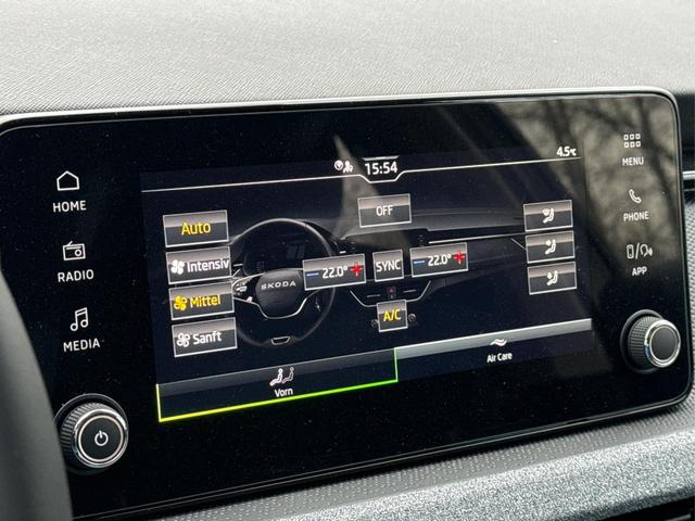 Skoda / Scala / Grau / / / LED+PDC+LANE ASSIST+SHZ