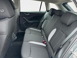 Skoda Scala Selection LED+PDC+LANE ASSIST+SHZ 