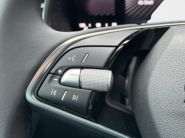 Skoda / Scala / Grau / / / LED+PDC+LANE ASSIST+SHZ