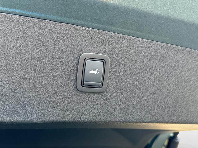 Dacia / Bigster / Gr&uuml;n / / / PANO+NAVI+ARKAMYS+KAMERA+SHZ+LED+18 ALU