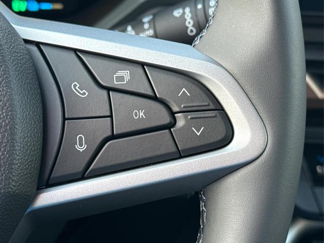 Dacia / Bigster / Gr&uuml;n / / / PANO+NAVI+ARKAMYS+KAMERA+SHZ+LED+18 ALU