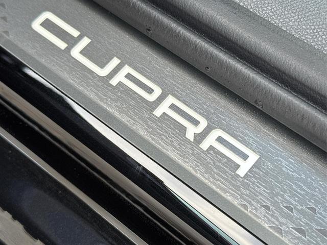Cupra / Leon Sportstourer / Gelb / / / 
