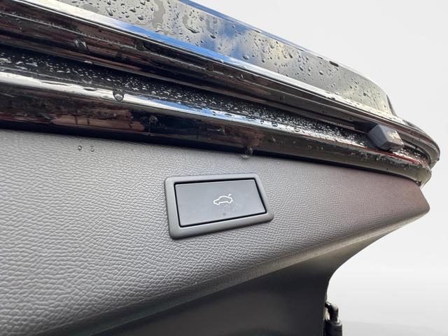 Cupra / Leon Sportstourer / Gelb / / / 