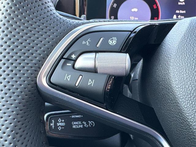 Skoda / Kodiaq / Grau / / / 4x4+PANO+AHK+MATRIX+KAMERA+eHK+19ALU, Beispielbilder