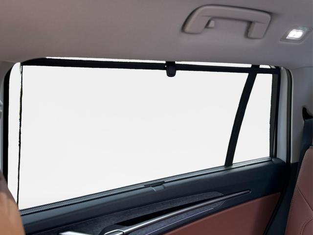 Skoda / Kodiaq / Wei&szlig; / / / LEDER+AHK+PANO+MATRIX+360 KAM+eHK+20 LM, Beispielbilder, ggf. teilweise mit Sonderausstattung