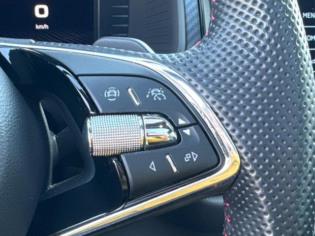 Skoda / Kodiaq / Grau / / / RS 4x4+AHK+PANO+LEDER+360&deg;KAM+7-Sitze