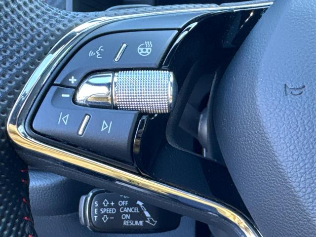 Skoda / Kodiaq / Grau / / / RS 4x4+AHK+PANO+LEDER+360&deg;KAM+7-Sitze