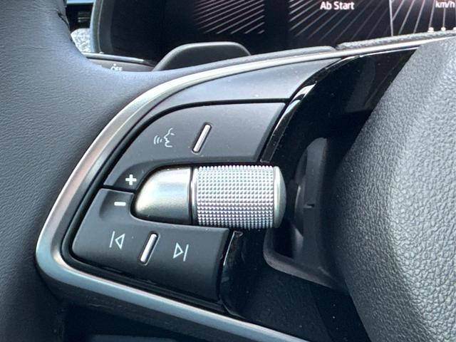 Skoda / Kamiq / Silber / / / SHZ+KAMERA+SMARTLINK+PDC+LED+16 ALU