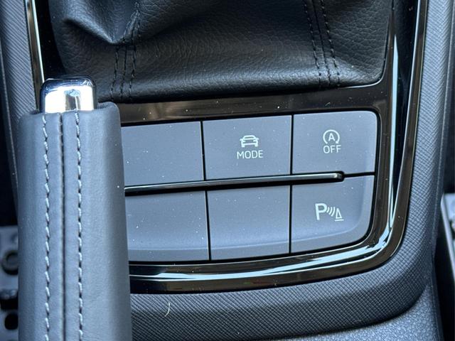 Skoda / Kamiq / Grau / / / SHZ+KAMERA+SMARTLINK+PDC+LED+16 ALU, Beispielbilder