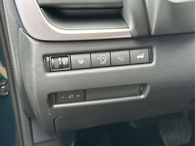 Nissan / Qashqai / Blau / / / EL.HECKKL+HEAD-UP+KAMERA+ACC+PDC+SHZ+LED 