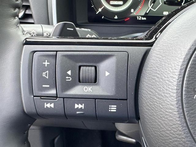 Nissan / Qashqai / Blau / / / EL.HECKKL+HEAD-UP+KAMERA+ACC+PDC+SHZ+LED 