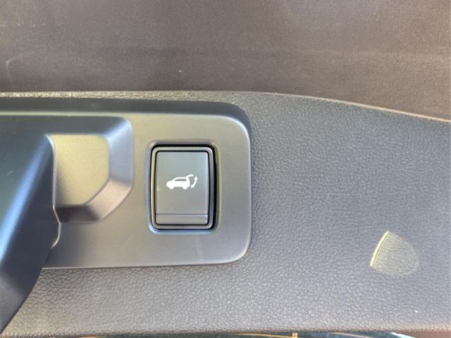 Renault / Austral / Rot / / / NAVI+LED+KAMERA+elektr.HECKKL.+19LM