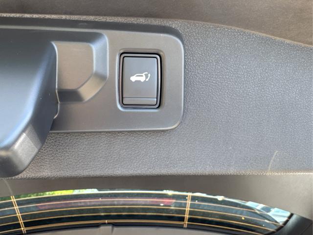 Renault / Austral / Schwarz / / / NAVI+LED+KAMERA+elektr.HECKKL.+19LM