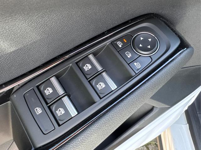 Renault / Austral / Schwarz / / / NAVI+LED+KAMERA+elektr.HECKKL.+19LM