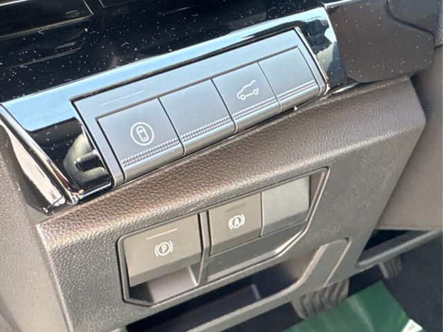 Renault / Austral / Schwarz / / / NAVI+LED+KAMERA+elektr.HECKKL.+19LM