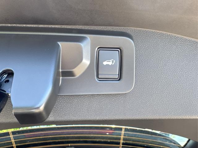 Renault / Austral / Grau / / / NAVI+LED+KAMERA+elektr.HECKKL.+19LM