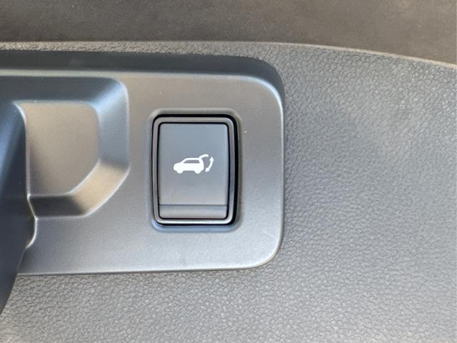 Renault / Austral / Grau / / / NAVI+LED+KAMERA+elektr.HECKKL.+19LM