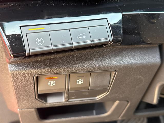 Renault / Austral / Rot / / / NAVI+LED+KAMERA+elektr.HECKKL.+19LM