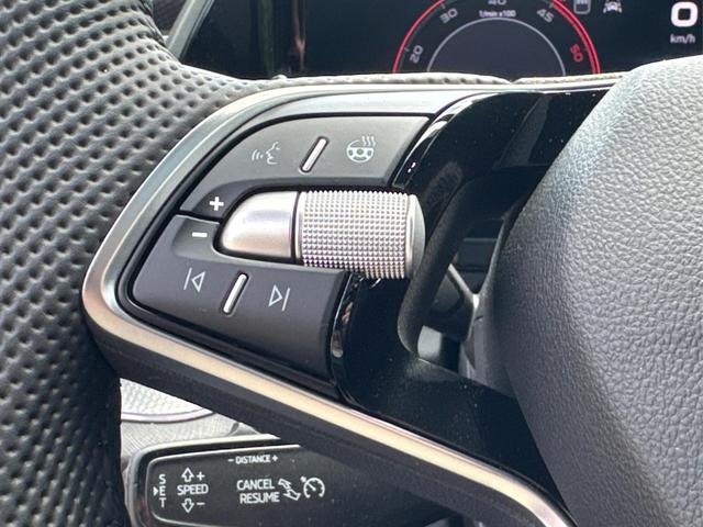 Skoda / Kodiaq / Grau / / / 4x4+AHK+PANO+KAMERA+EL. HECKKL.+NAVI+20 LM