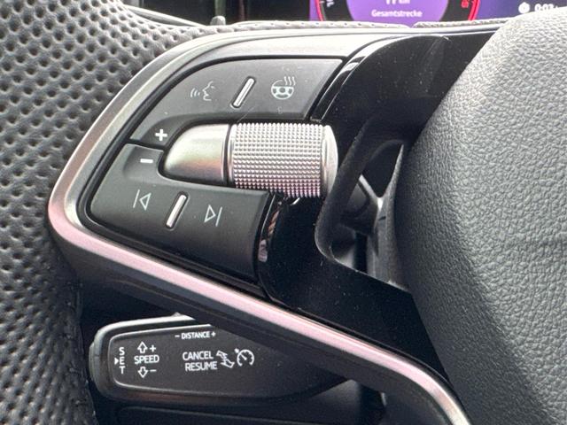 Skoda / Kodiaq / Grau / / / 4x4+AHK+KAMERA+EL. HECKKL.+PDC+NAVI+19 LM
