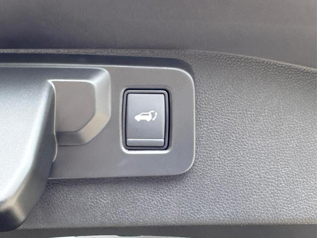 Renault / Austral / Grau / / / NAVI+LED+KAMERA+elektr.HECKKL.+19LM
