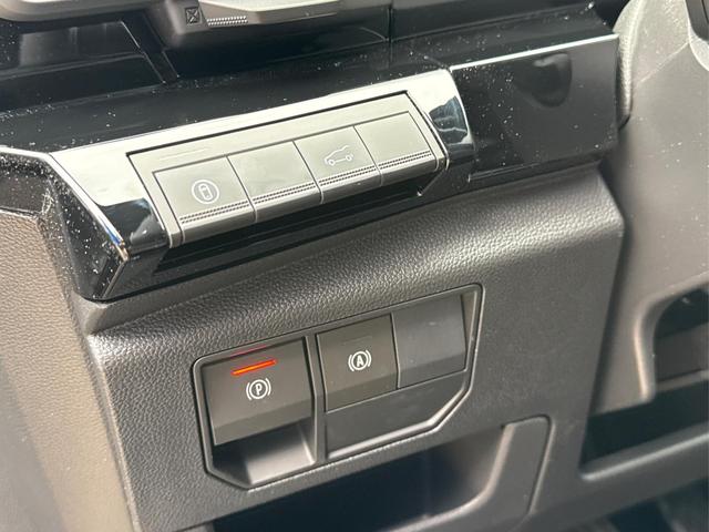 Renault / Austral / Grau / / / NAVI+LED+KAMERA+elektr.HECKKL.+19LM