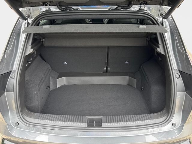Renault / Austral / Grau / / / NAVI+LED+KAMERA+elektr.HECKKL.+19LM