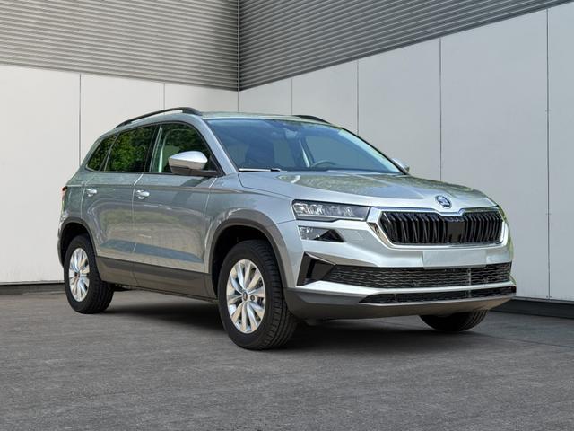 Skoda / Karoq / Silber / / / AHK+el.HECKKLAPPE+KAMERA+PDC+ACC, Beispielbilder, ggf. teilweise mit Sonderausstattung
