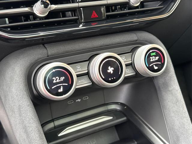 Skoda / Kodiaq / Grau / / / 4x4+AHK+PANO+KAMERA+EL. HECKKL.+NAVI+20 LM