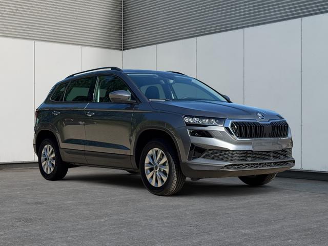 Skoda / Karoq / / / / AHK+el.HECKKLAPPE+KAMERA+PDC+ACC, Beispielbilder, ggf. teilweise mit Sonderausstattung