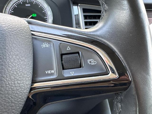 Skoda / Kodiaq / Blau / / / AHK+STANDHEIZUNG+ACC+19ALU+DAB