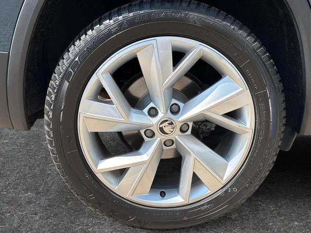 Skoda / Kodiaq / Blau / / / AHK+STANDHEIZUNG+ACC+19ALU+DAB