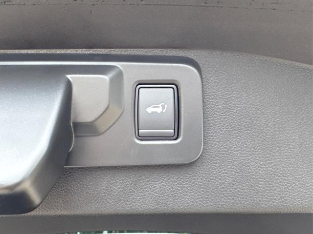 Renault / Austral / Blau / / / LED+KAMERA+PDC+19 LM, Beispielbilder, ggf. teilweise mit Sonderausstattung