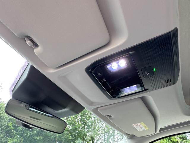 Volkswagen / Caddy Maxi / Blau / / / Caddy Maxi KAMERA+APP+PDC+ACC+LANE ASSIST, Beispielbilder, ggf. teilweise mit Sonderausstattung