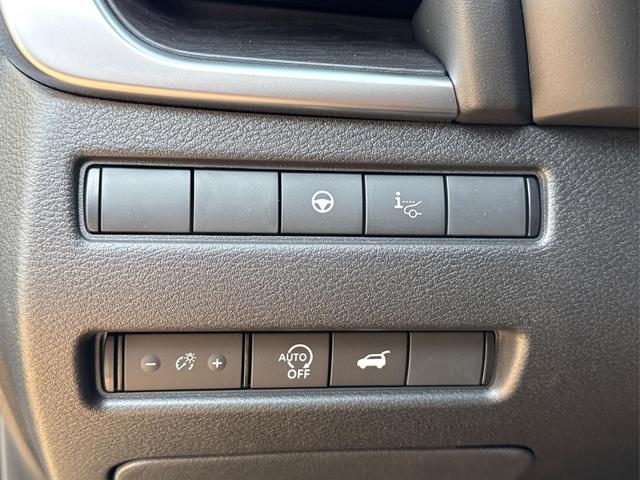 Nissan / X-Trail / Grau / / / 360 KAM+NAVI+SHZ+ACC+HuD+19 LM, Beispielbilder, ggf. teilweise mit Sonderausstattung