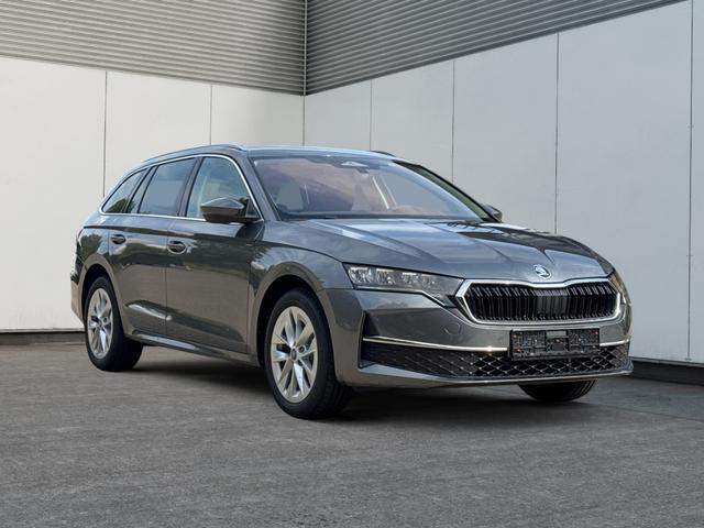 Skoda / Octavia Combi / Grau / / / ACC+AHK+eHK+KAM+PDC+LED+17 ALU+SHZ, Beispielbilder, ggf. teilweise mit Sonderausstattung