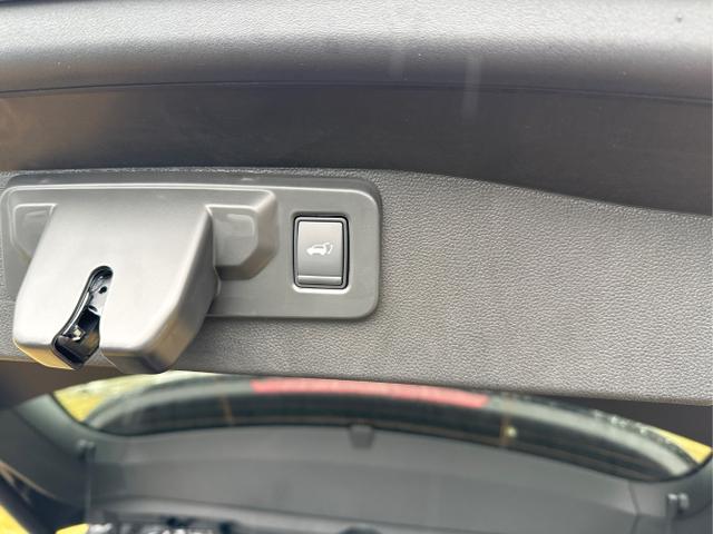 Renault / Austral / Schwarz / / / EL.HECKKL+LED+KAMERA+PDC+19LM, Beispielbilder, ggf. teilweise mit Sonderausstattung