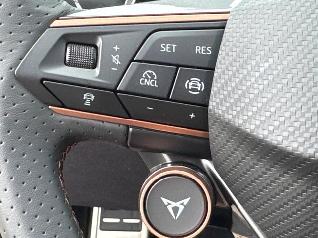 Cupra / Leon / Grau / / / NAVI+KAMERA+KESSY+MEMORY+SHZ+ACC+PDC+LED+19 ALU, Beispielbilder, ggf. teilweise mit Sonderausstattung