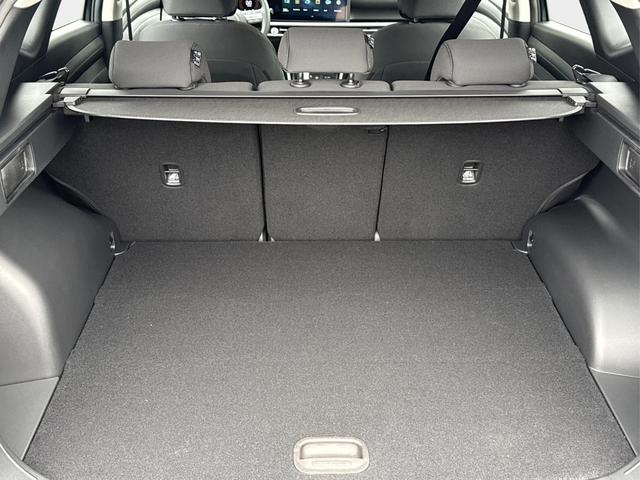 Hyundai / TUCSON / Gr&uuml;n / / / NAVI+KAMERA+SHZ+LED+TEMPOMAT+17 ALU+PDC, Beispielbilder, ggf. teilweise mit Sonderausstattung