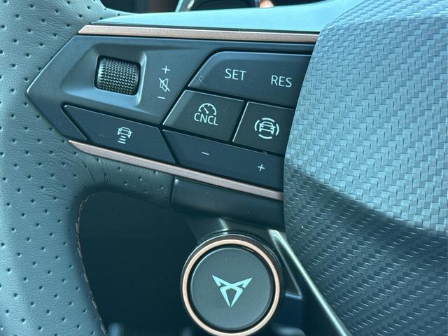 Cupra / Formentor / Blau / / / 4x4 AHK+NAVI+KAMERA+eHK+KESSY+ACC+19 ALU+LED+FULL LINK, Beispielbilder, ggf. teilweise mit Sonderausstattung