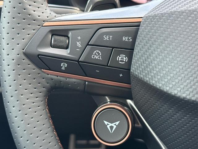 Cupra / Formentor / Grau / / / 4x4 AHK+eHK+NAVI+KAMERA+ACC+SHZ+18 ALU, Beispielbilder, ggf. teilweise mit Sonderausstattung