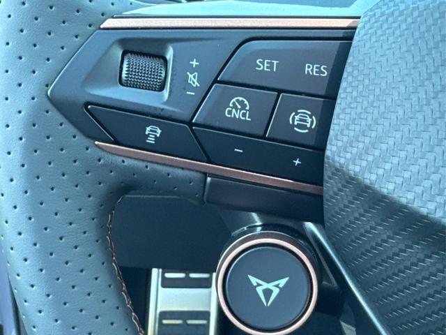 Cupra / Leon Sportstourer / Grau / / / ST AHK+NAVI+eHK+KAMERA+ACC+SHZ+18 ALU+LED
