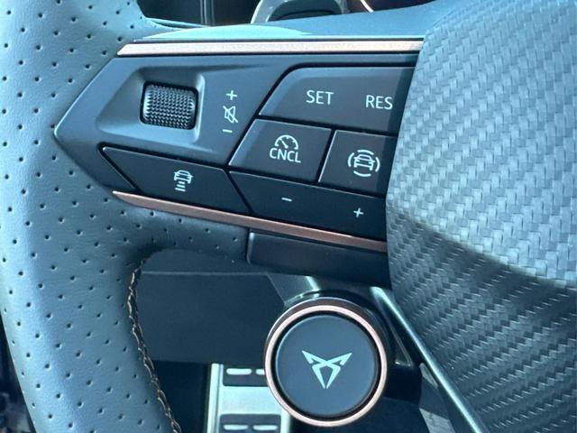Cupra / Leon Sportstourer / Violett / / / ST AHK+NAVI+eHK+KAMERA+ACC+SHZ+18 ALU+LED, Beispielbilder, ggf. teilweise mit Sonderausstattung