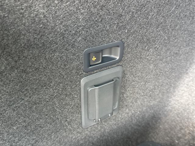 Cupra / Leon Sportstourer / Schwarz / / / 4x4 ST AHK+NAVI+eHK+KAMERA+MEMORY+ACC+19 ALU+LED, Beispielbilder, ggf. teilweise mit Sonderausstattung